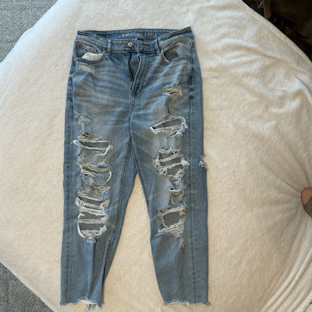 American Eagle Destroyed Tomgirl Button-Fly Jeans | SIZE 8S